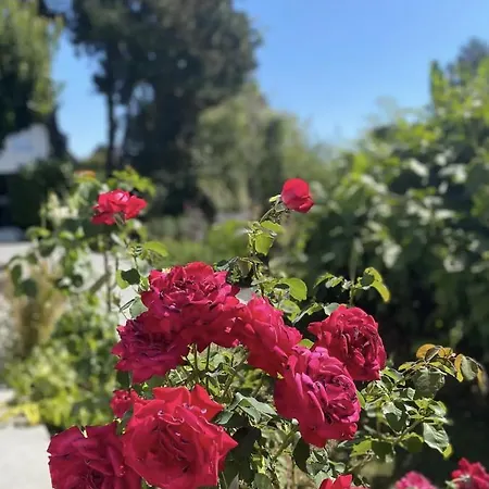Avec Jacuzzi Ideale Pour Visiter La Normandie Saint-Jean-du-Cardonnay